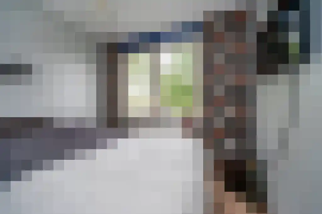 Baarschootsekreek 2 G Rotterdam thumbnail 20
