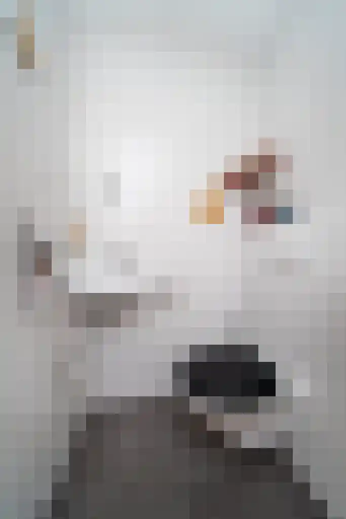 Baarschootsekreek 2 G Rotterdam thumbnail 22