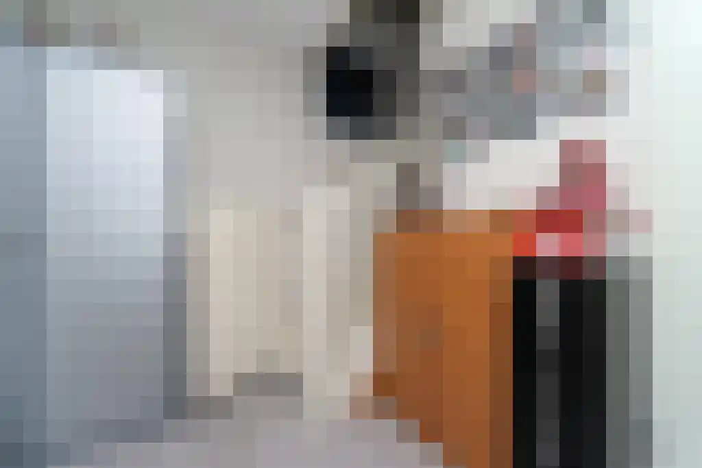 Baarschootsekreek 2 G Rotterdam thumbnail 25