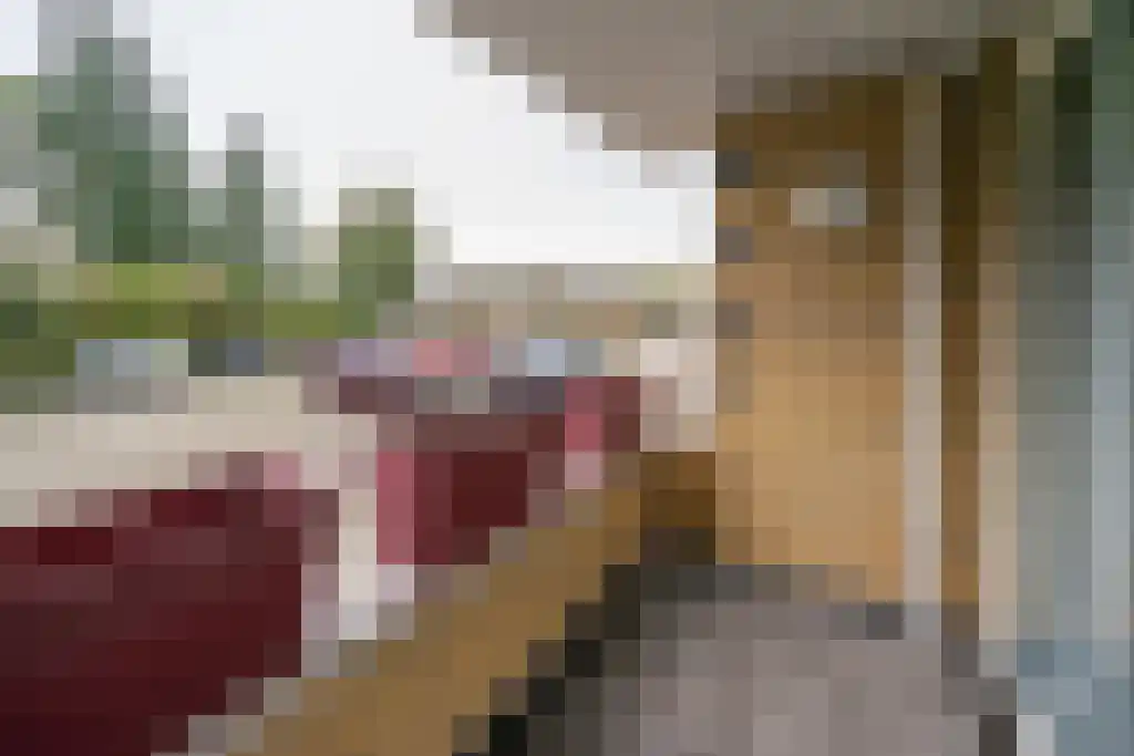 Baarschootsekreek 2 G Rotterdam thumbnail 31