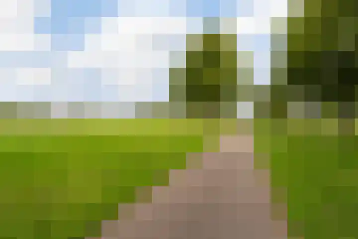 Baarschootsekreek 6 E Rotterdam thumbnail 18