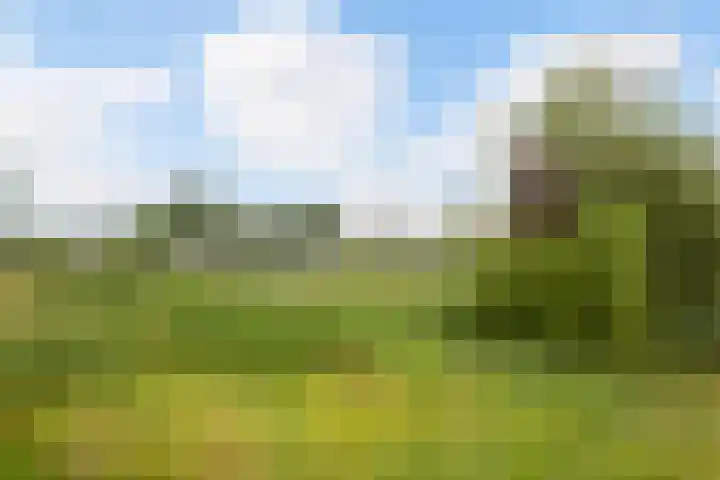 Baarschootsekreek 6 E Rotterdam thumbnail 19