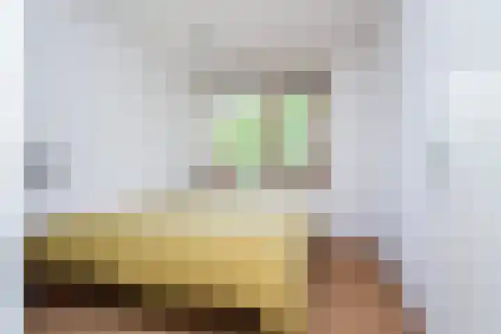 Baarschootsekreek 6 E Rotterdam thumbnail 9
