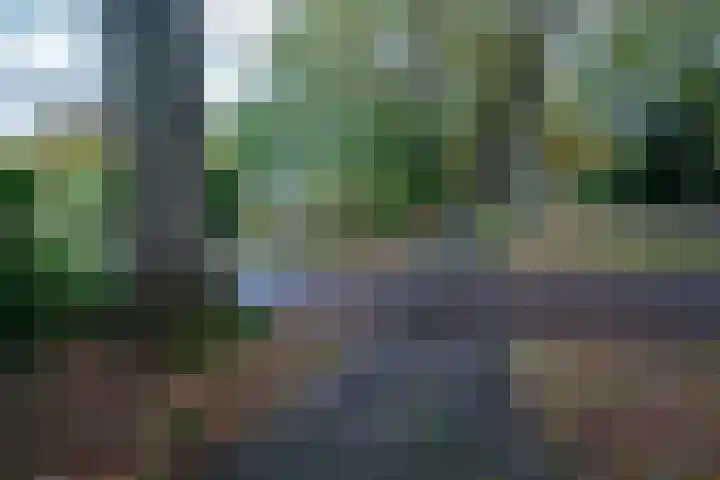 Baarschootsekreek 9 Rotterdam thumbnail 10