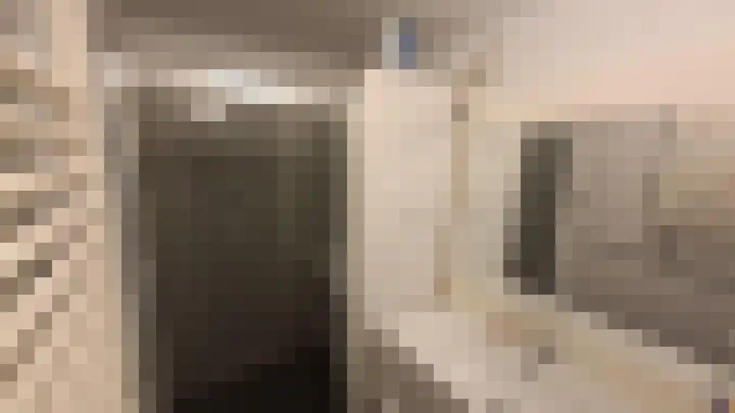 Baarschootsekreek 9 Rotterdam thumbnail 12