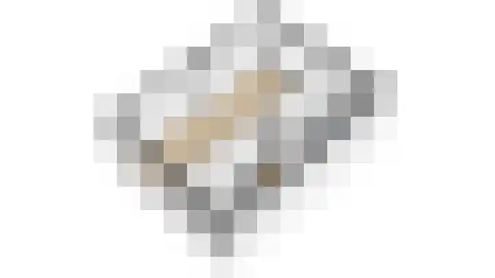 Baarschootsekreek 9 Rotterdam thumbnail 14