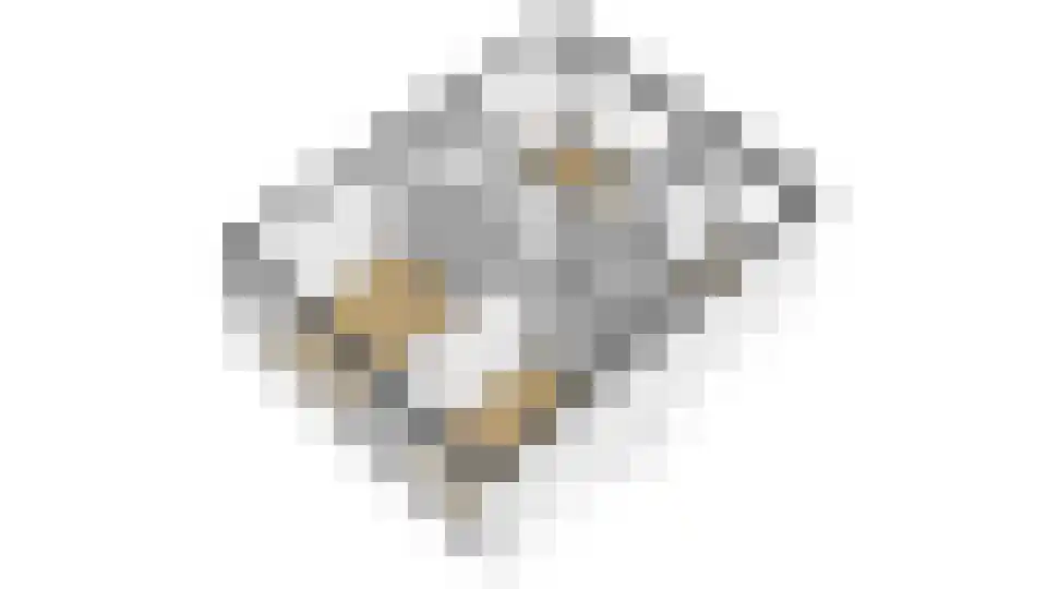 Baarschootsekreek 9 Rotterdam thumbnail 16