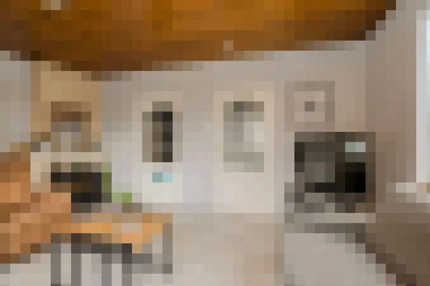 Baarschotsestraat 62 Dorst thumbnail 10