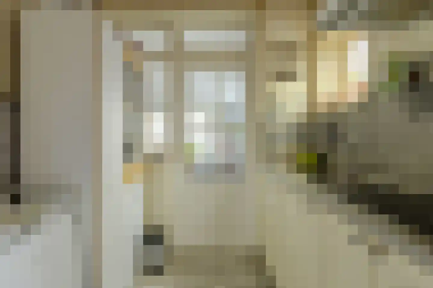 Baarschotsestraat 62 Dorst thumbnail 11