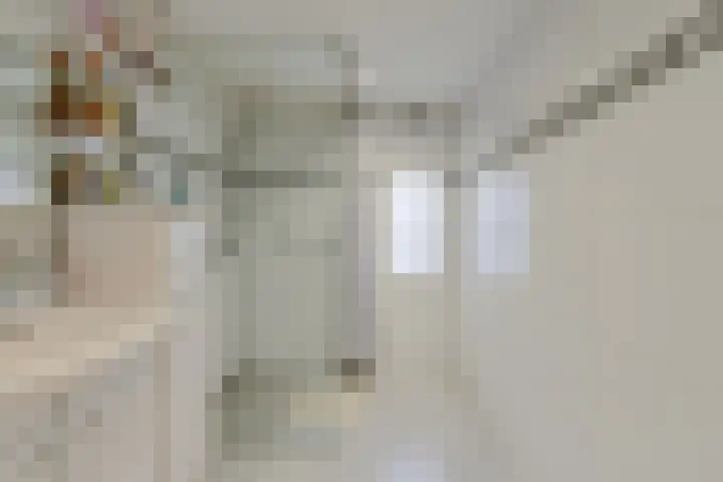 Baarschotsestraat 62 Dorst thumbnail 15