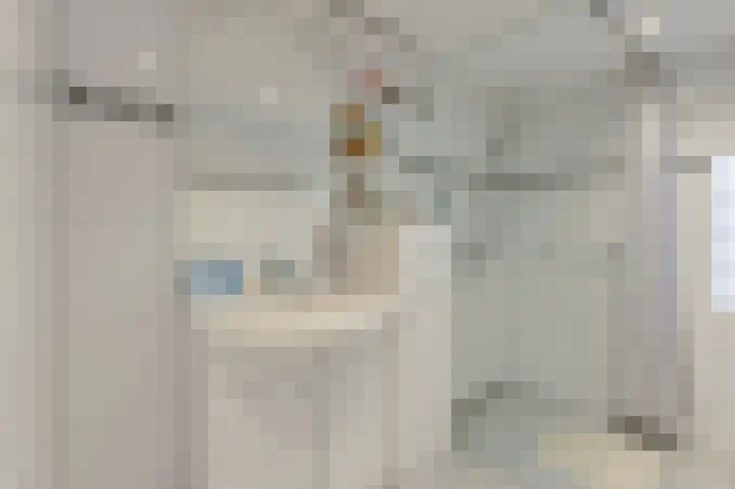 Baarschotsestraat 62 Dorst thumbnail 16