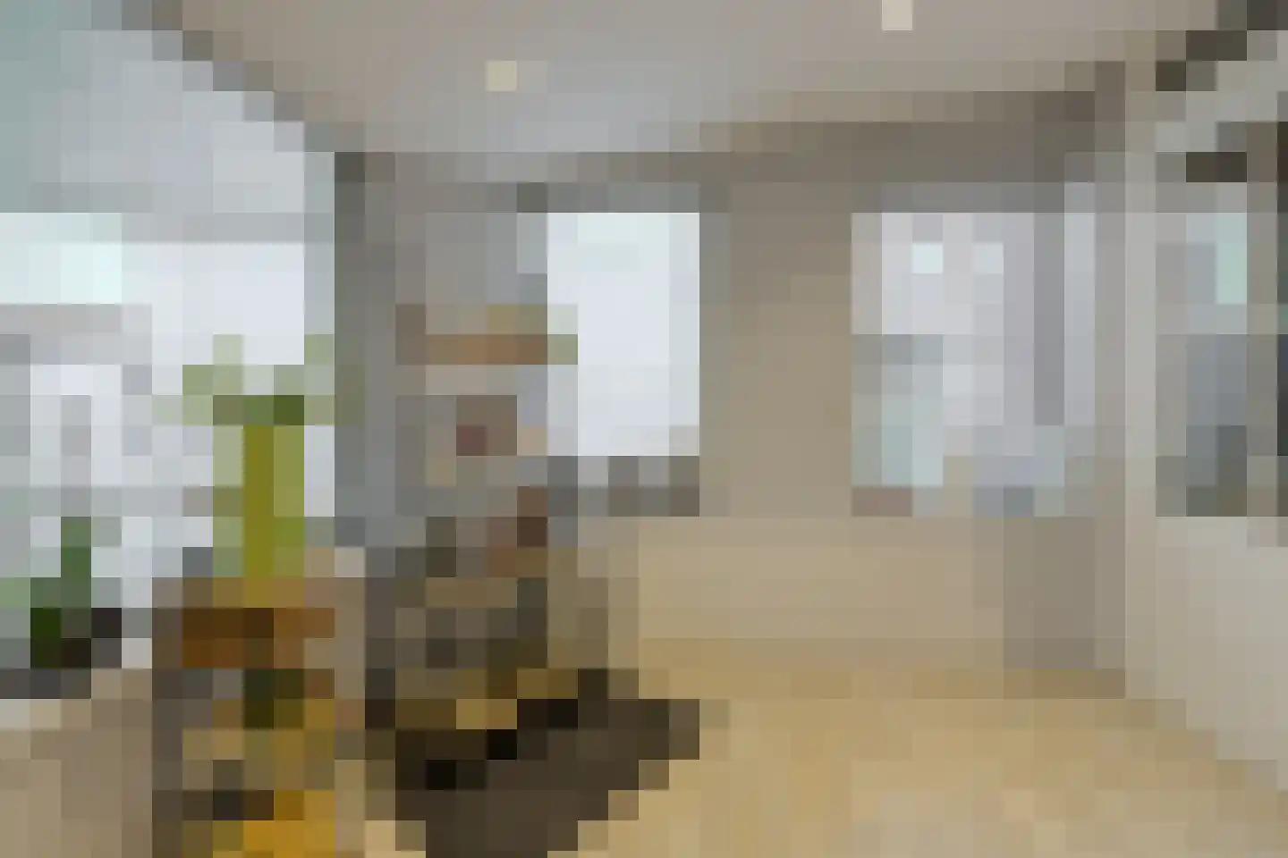 Baarschotsestraat 62 Dorst thumbnail 20