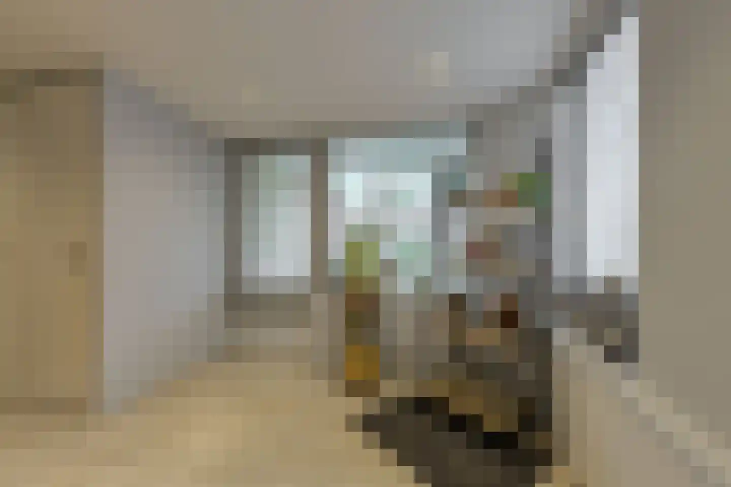 Baarschotsestraat 62 Dorst thumbnail 4