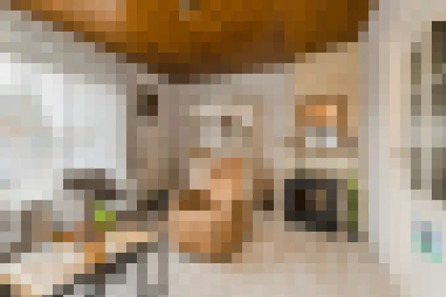 Baarschotsestraat 62 Dorst thumbnail 7