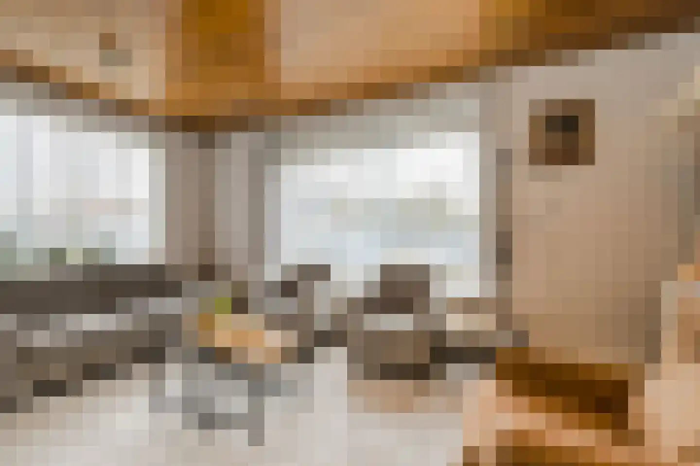 Baarschotsestraat 62 Dorst thumbnail 8