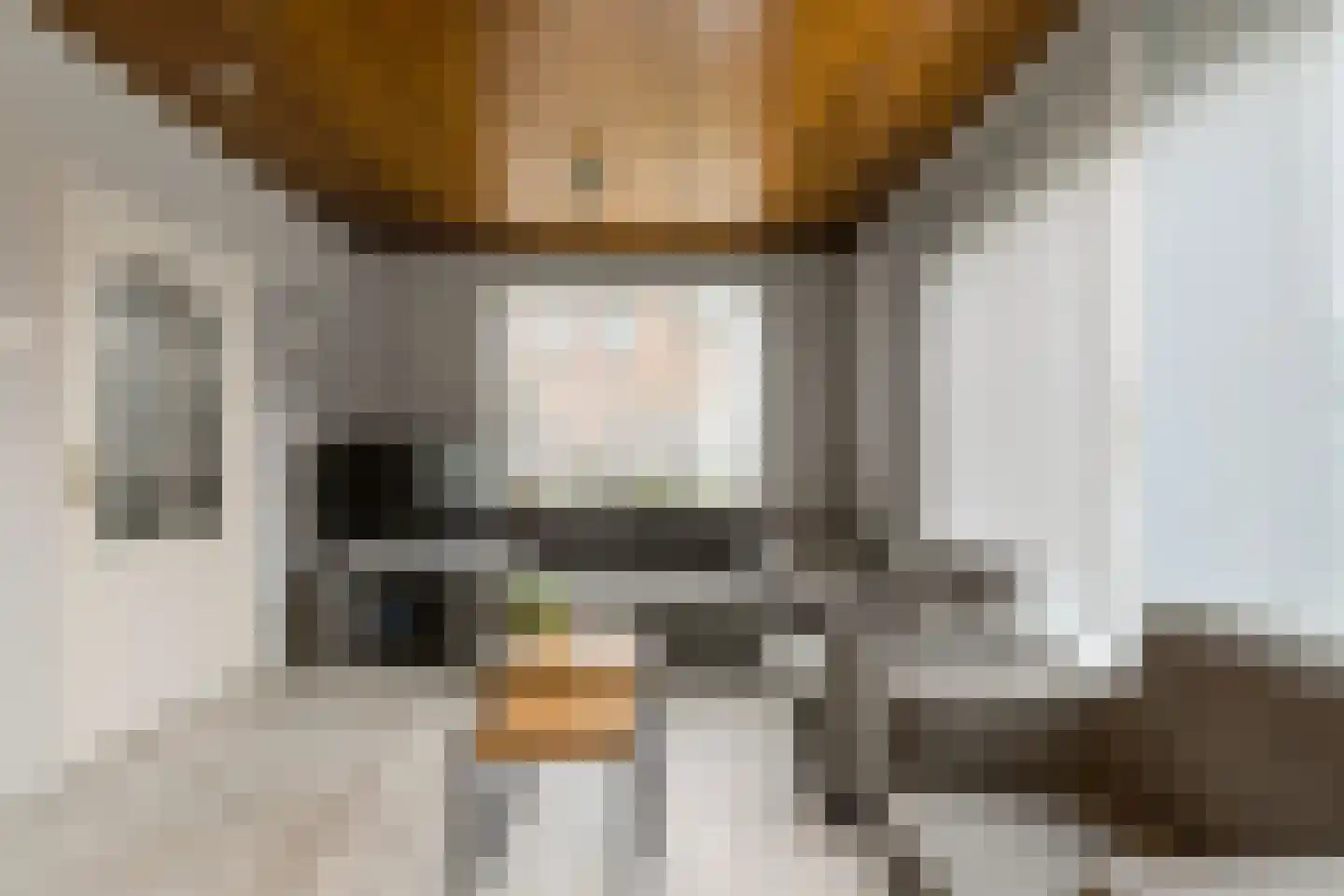 Baarschotsestraat 62 Dorst thumbnail 9