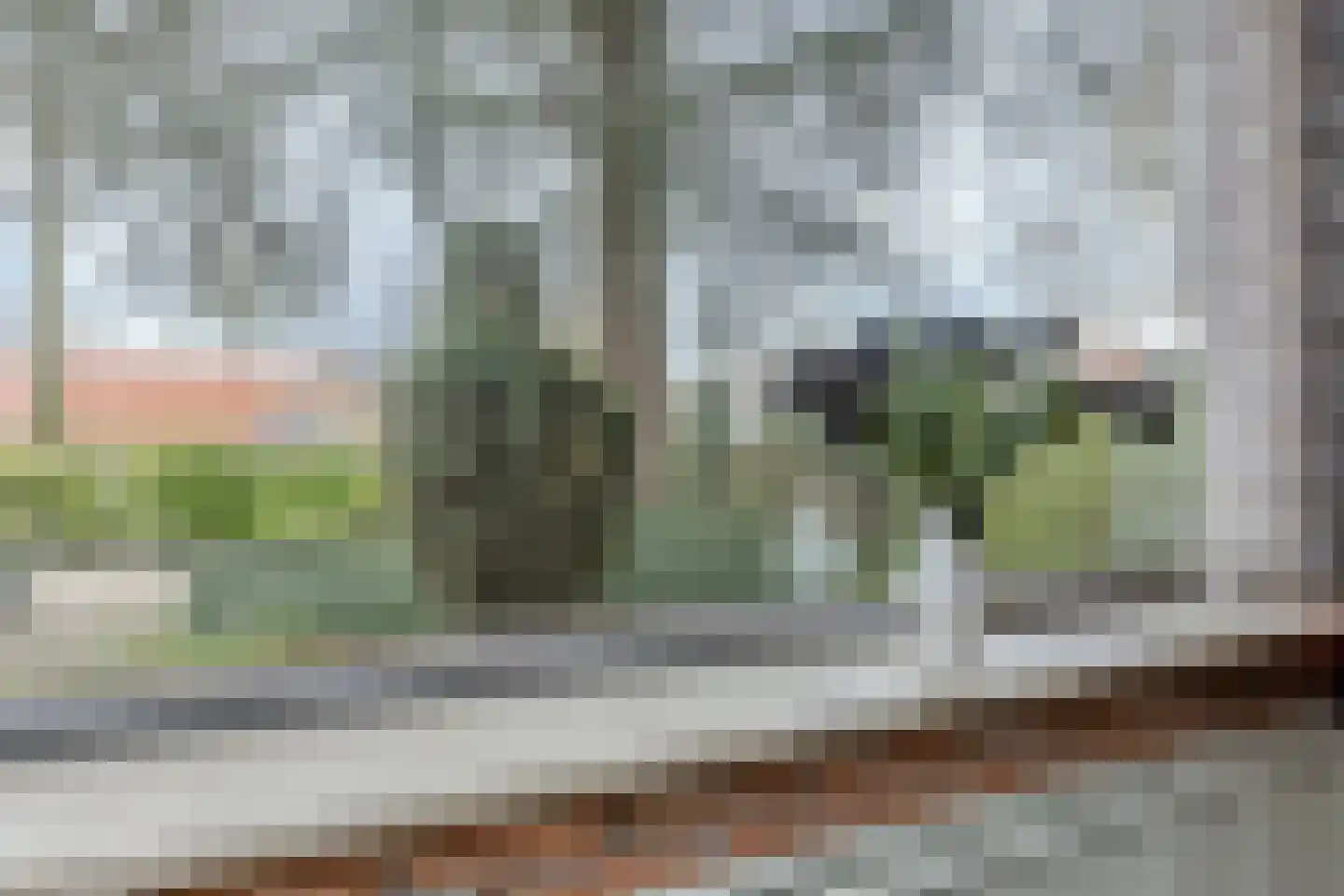 Baarschotsestraat 95 Dorst thumbnail 11