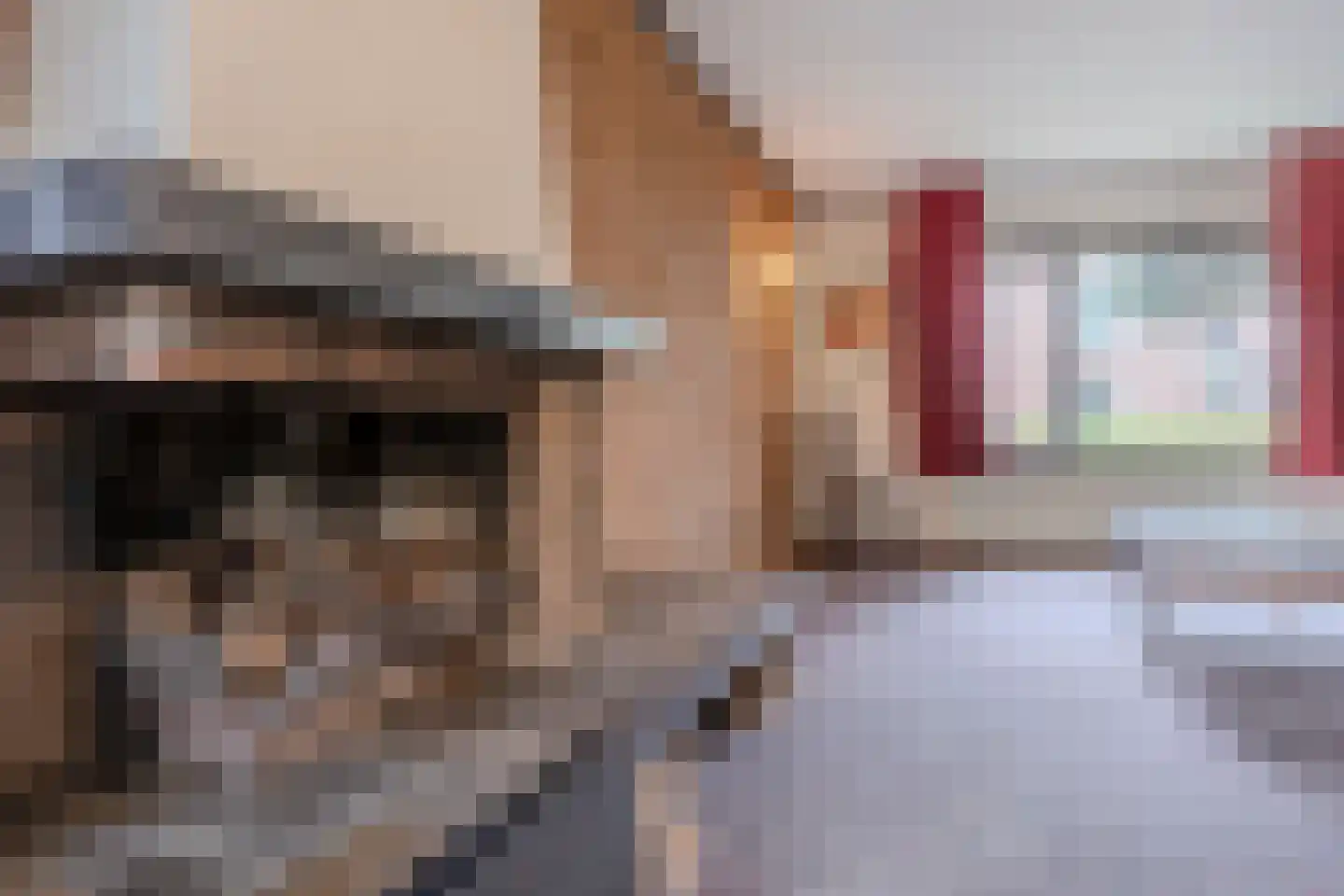 Baarschotsestraat 95 Dorst thumbnail 12