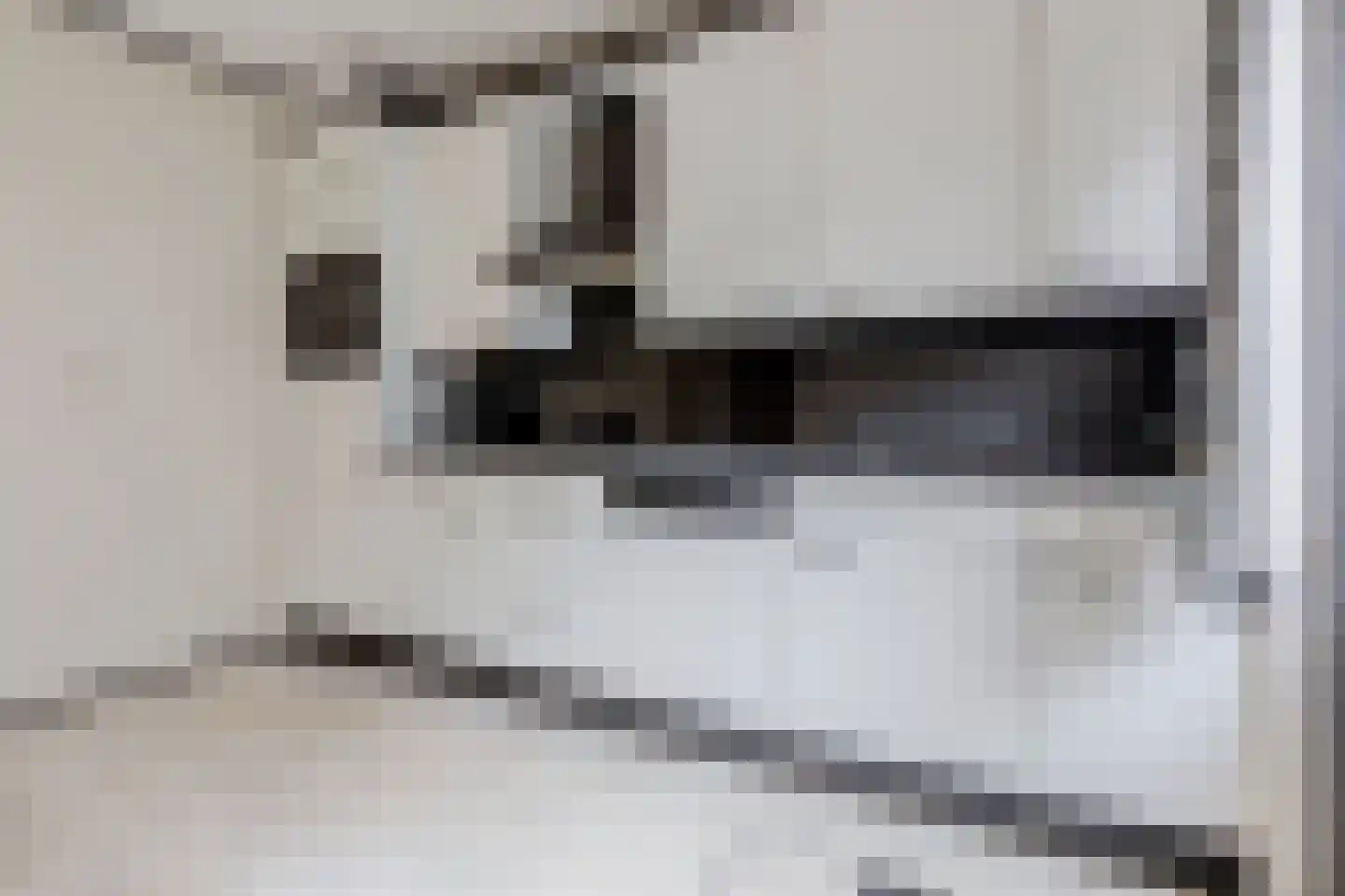 Baarschotsestraat 95 Dorst thumbnail 15