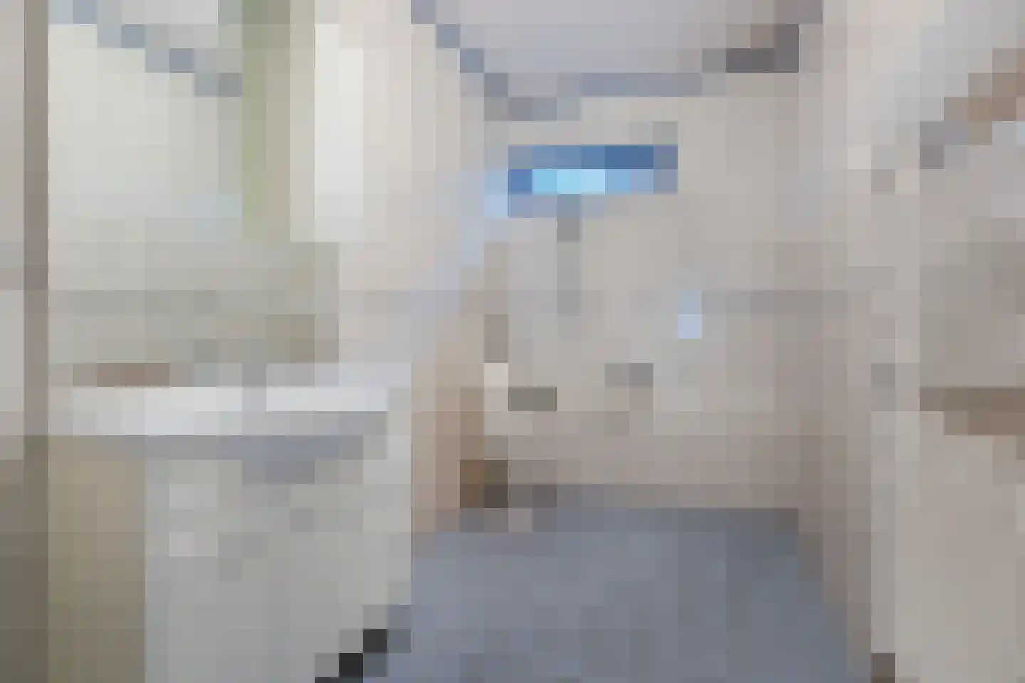 Baarschotsestraat 95 Dorst thumbnail 22