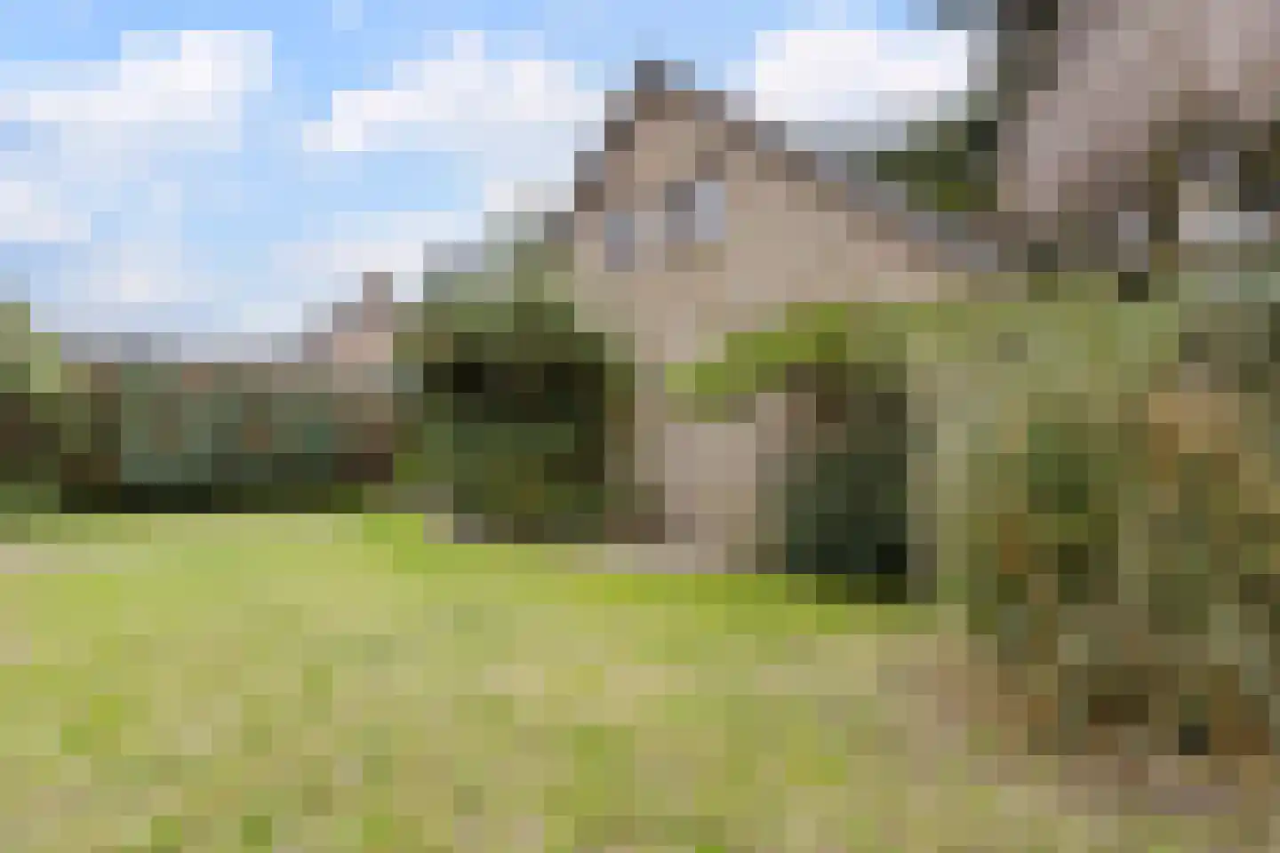 Baarschotsestraat 95 Dorst thumbnail 44