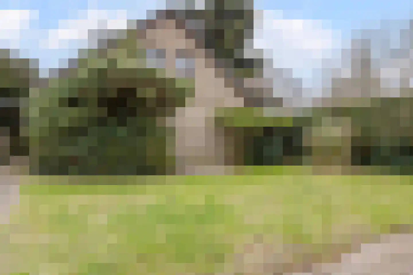 Baarschotsestraat 95 Dorst thumbnail 45