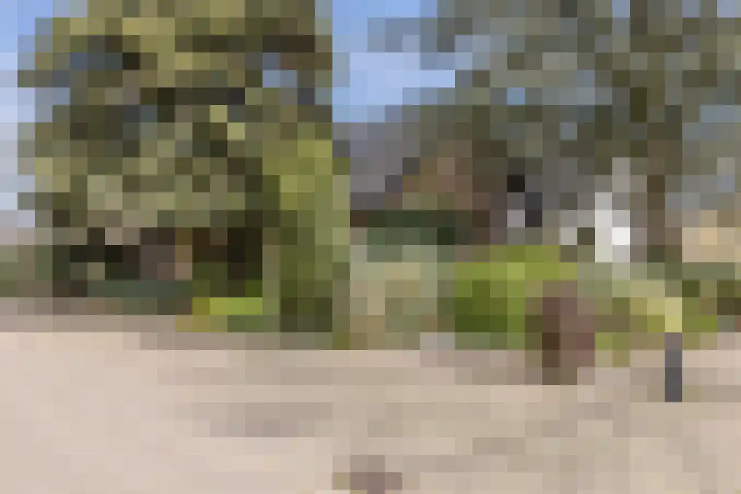Baarschotsestraat 95 Dorst thumbnail 48