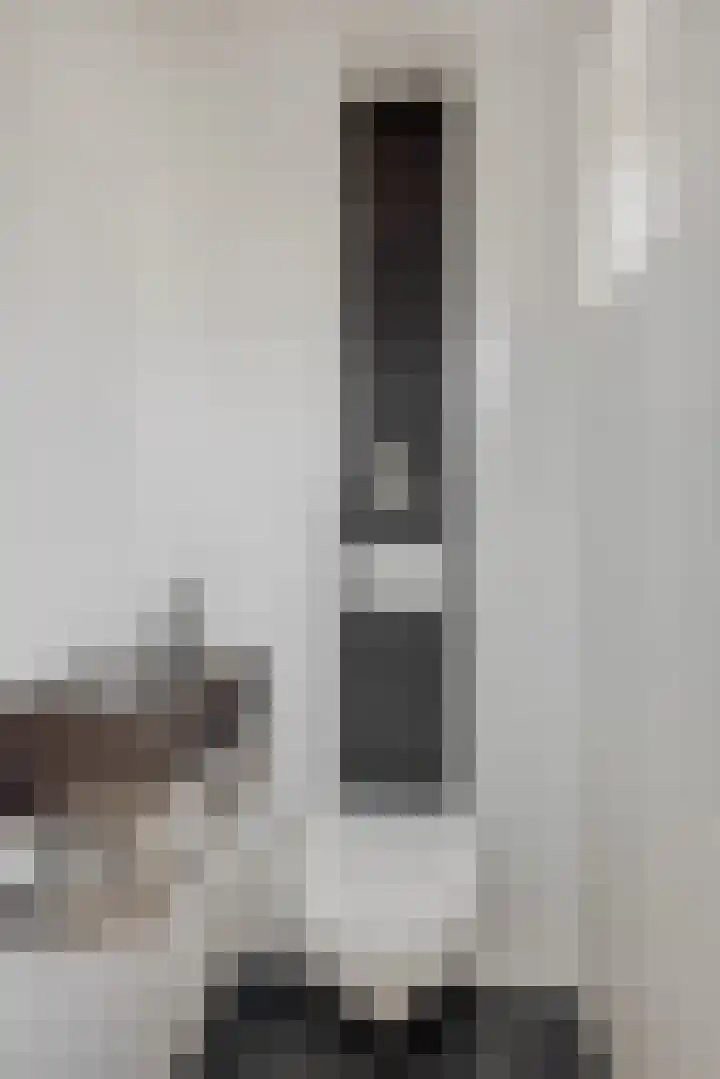 Baarschotseweg 6 Vlierden thumbnail 10