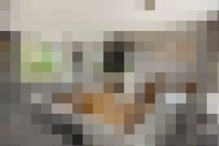 Baarschotseweg 6 Vlierden thumbnail 11