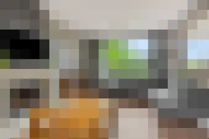 Baarschotseweg 6 Vlierden thumbnail 12