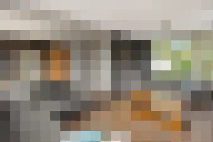 Baarschotseweg 6 Vlierden thumbnail 13