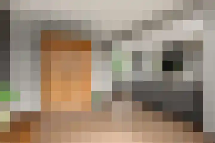 Baarschotseweg 6 Vlierden thumbnail 14