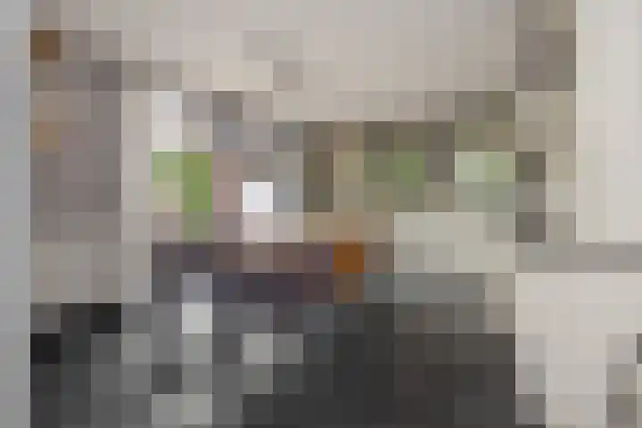 Baarschotseweg 6 Vlierden thumbnail 16