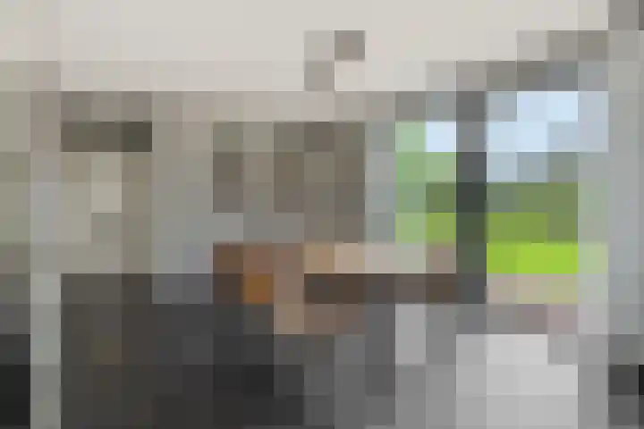 Baarschotseweg 6 Vlierden thumbnail 17