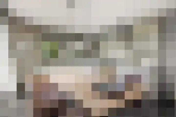Baarschotseweg 6 Vlierden thumbnail 19