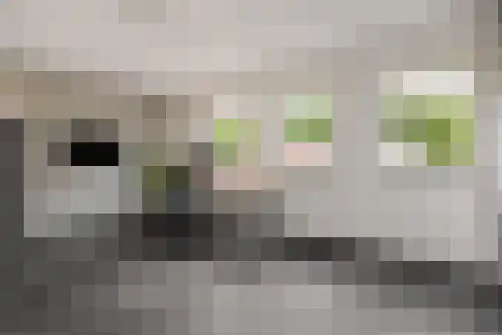 Baarschotseweg 6 Vlierden thumbnail 20