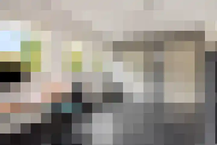 Baarschotseweg 6 Vlierden thumbnail 21