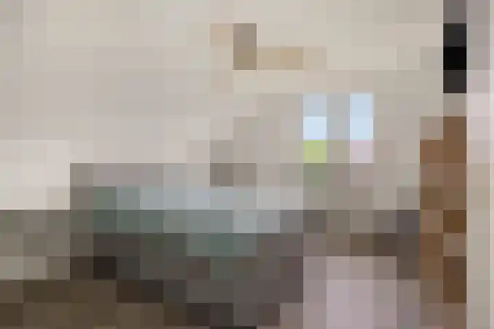 Baarschotseweg 6 Vlierden thumbnail 22