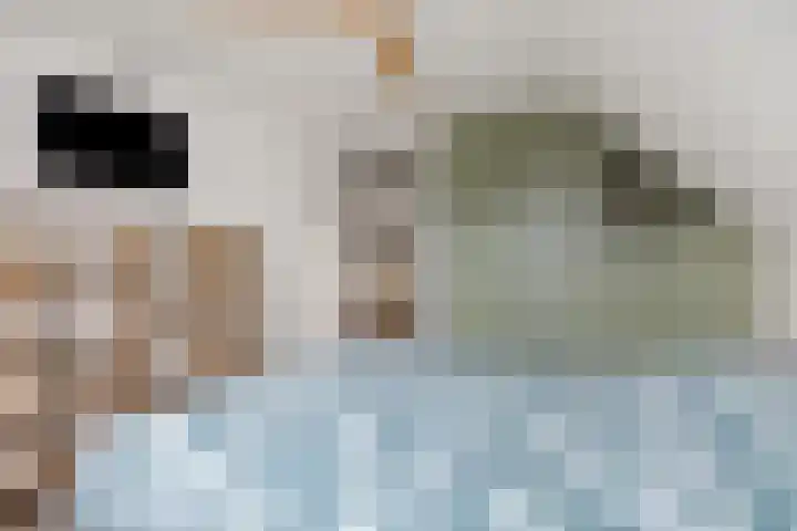Baarschotseweg 6 Vlierden thumbnail 23