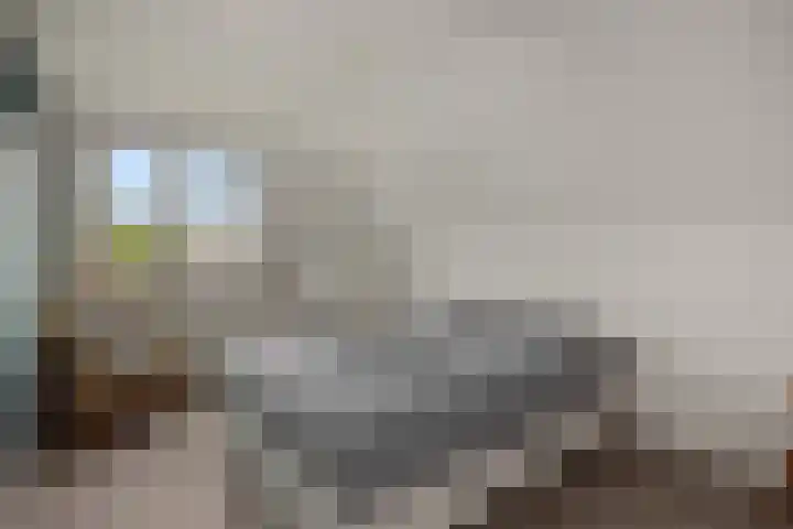 Baarschotseweg 6 Vlierden thumbnail 24