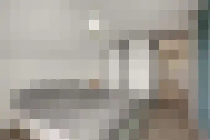 Baarschotseweg 6 Vlierden thumbnail 25