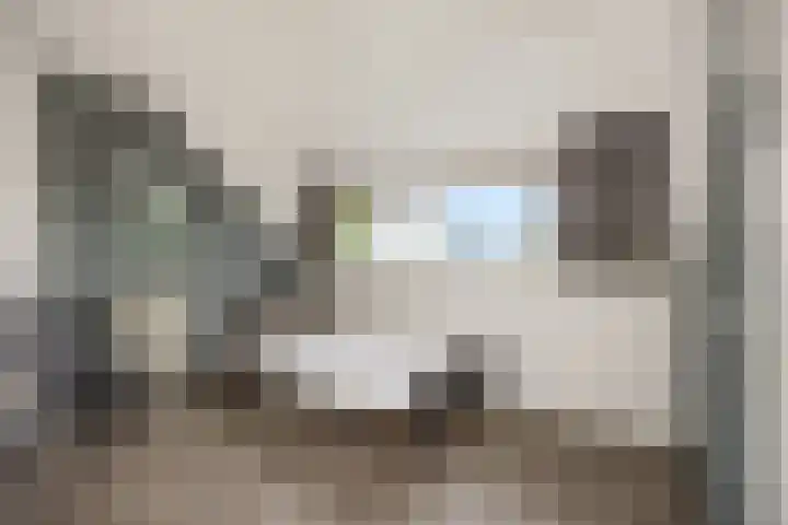 Baarschotseweg 6 Vlierden thumbnail 26