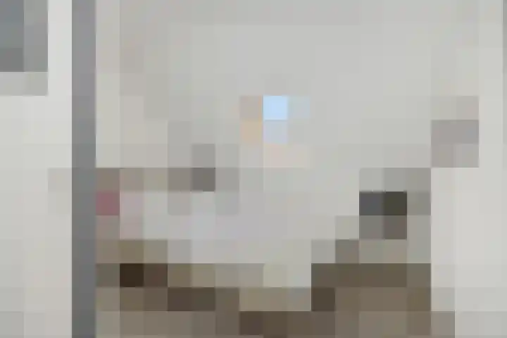 Baarschotseweg 6 Vlierden thumbnail 27