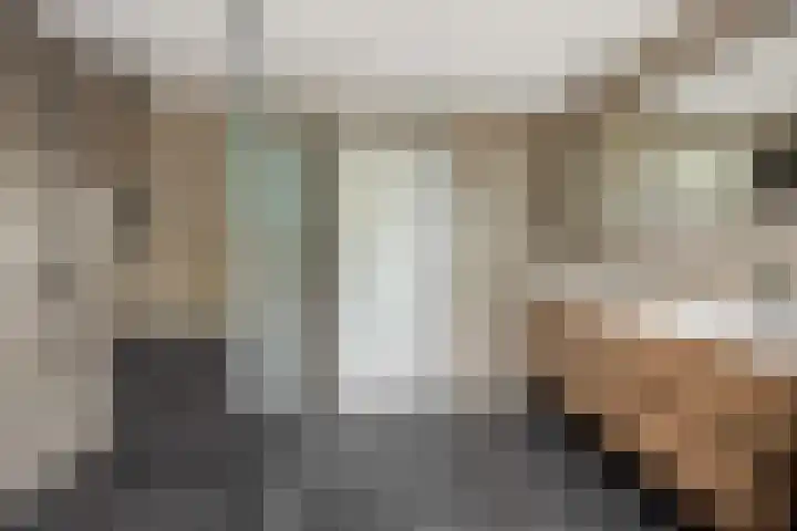 Baarschotseweg 6 Vlierden thumbnail 30