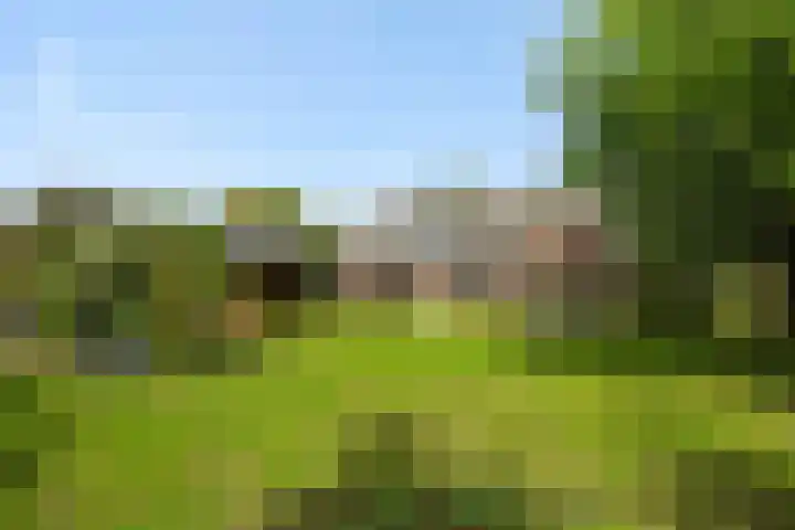 Baarschotseweg 6 Vlierden thumbnail 34