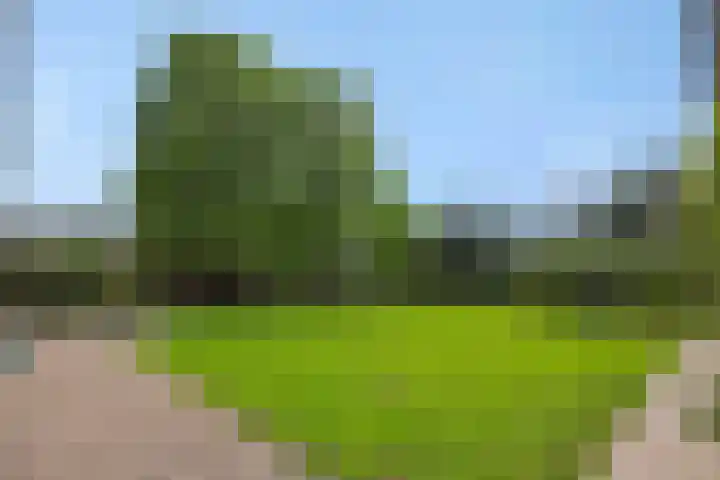 Baarschotseweg 6 Vlierden thumbnail 35