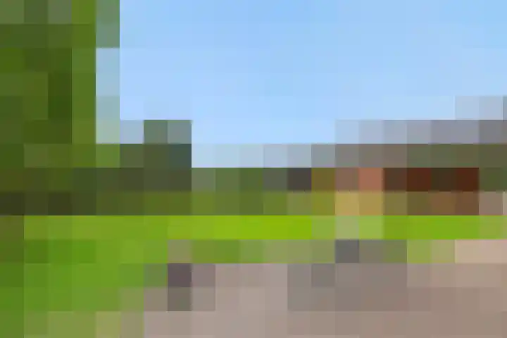 Baarschotseweg 6 Vlierden thumbnail 36