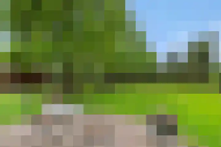 Baarschotseweg 6 Vlierden thumbnail 37