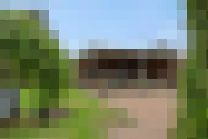 Baarschotseweg 6 Vlierden thumbnail 38