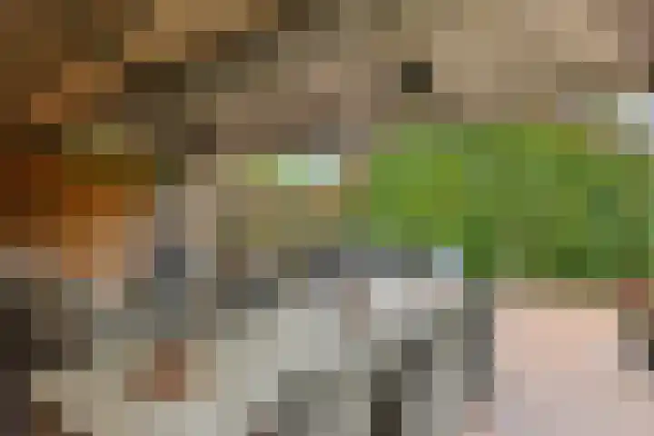Baarschotseweg 6 Vlierden thumbnail 39